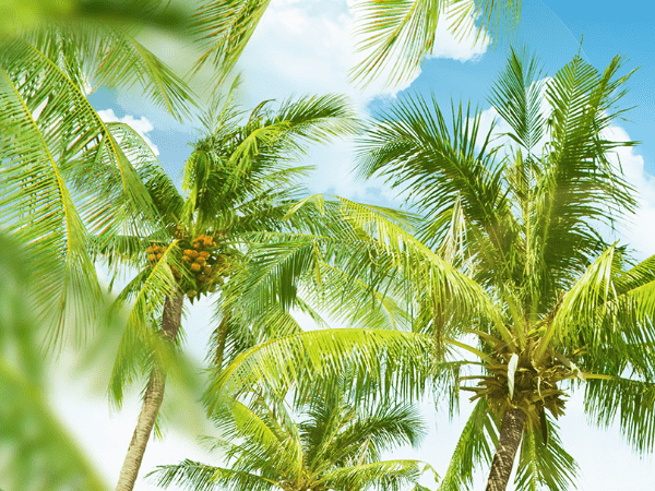 低溫冷水機組系統(tǒng)冷凝壓力高應采取哪些措施？