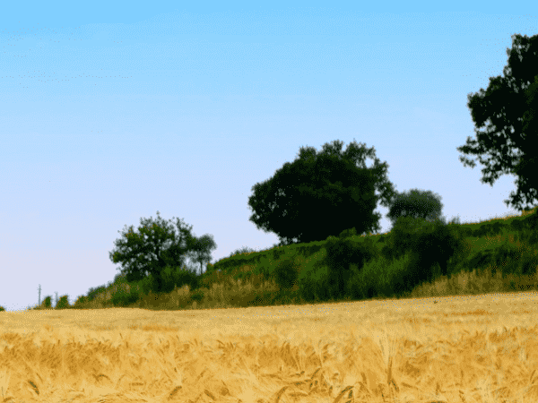 【低溫冷水機(jī)】低溫冷卻器的流體與傳熱