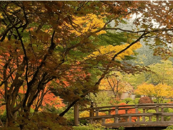 低溫冷水機(jī)組閥門部件的使用與維護(hù)